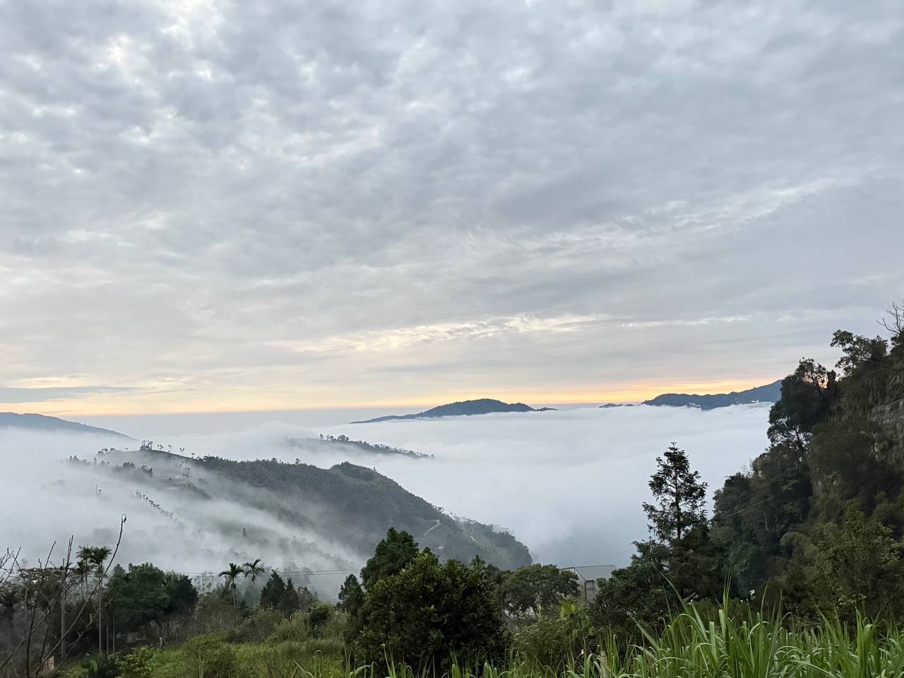 嘉義梅山_崧園茶葉露營區_嘉義露營區Songyuan_Camping_44